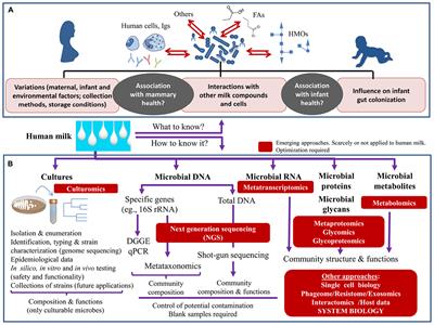 Unfolding the Human Milk Microbiome Landscape in the Omics Era